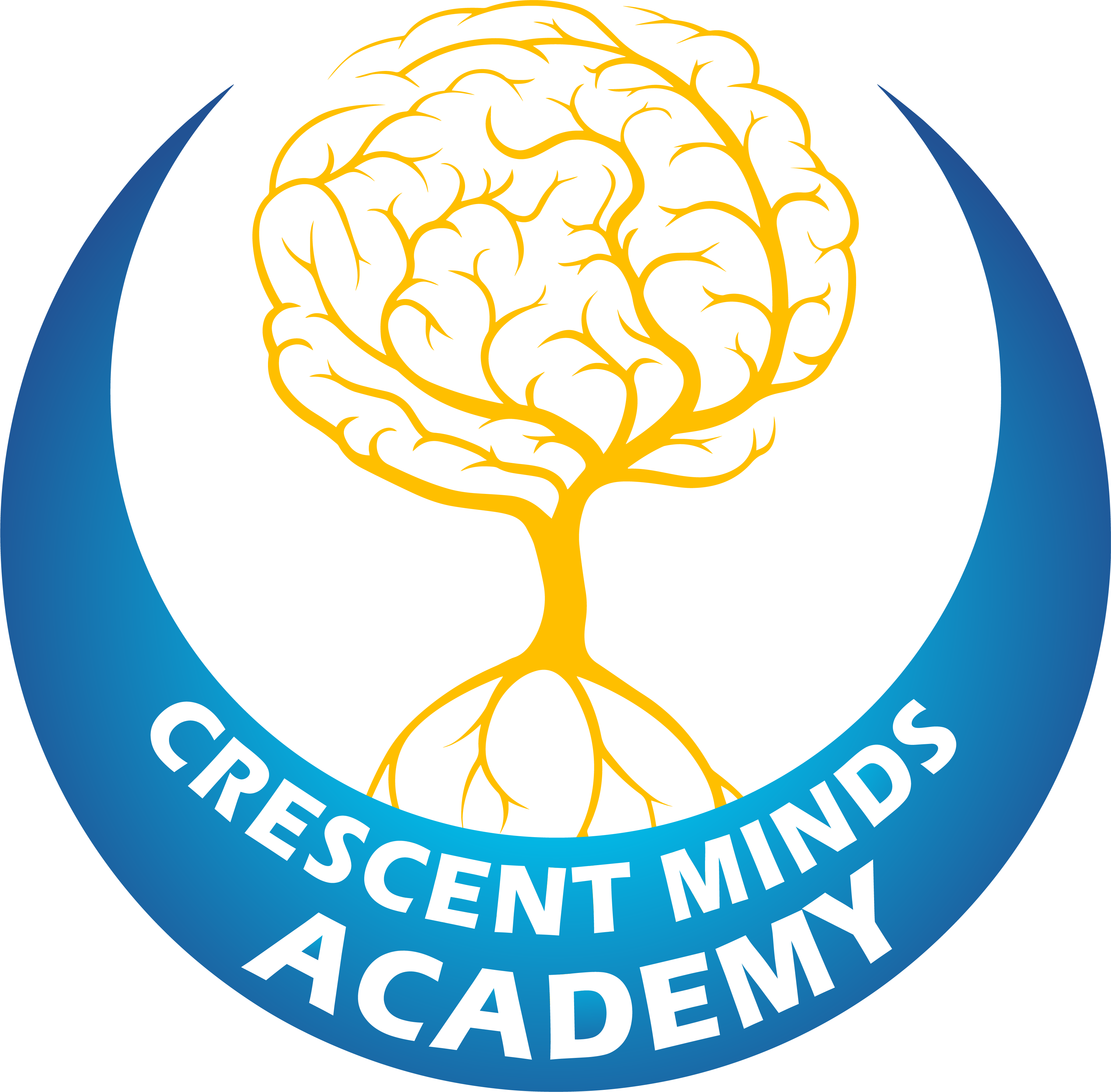 Academi